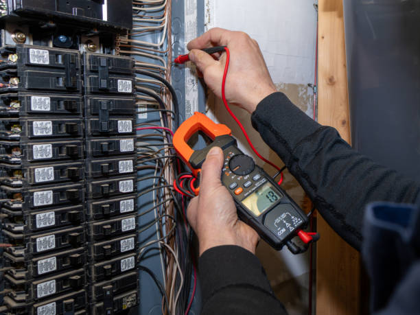 Best Electric Panel Repair  in Meridian Hills, IN